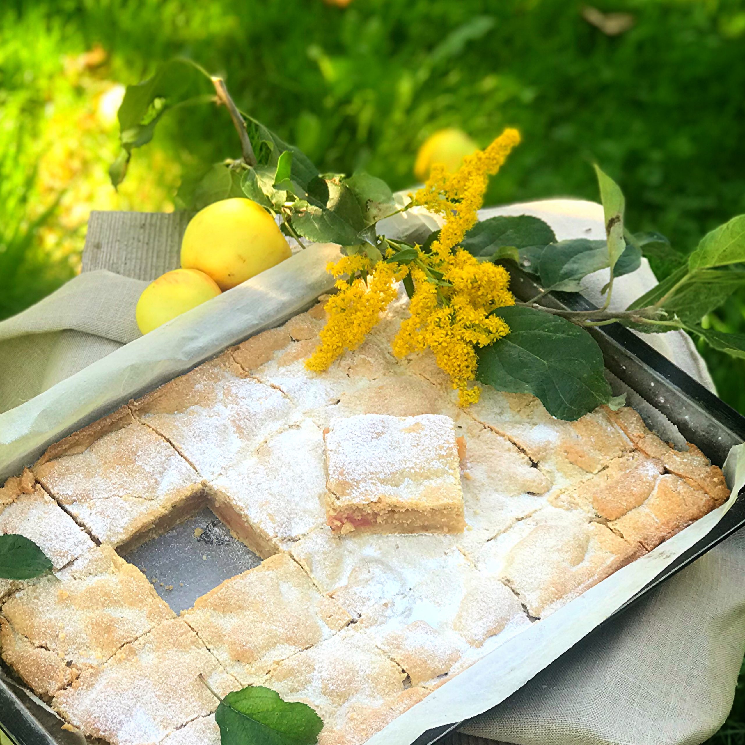 Apfelkuchen