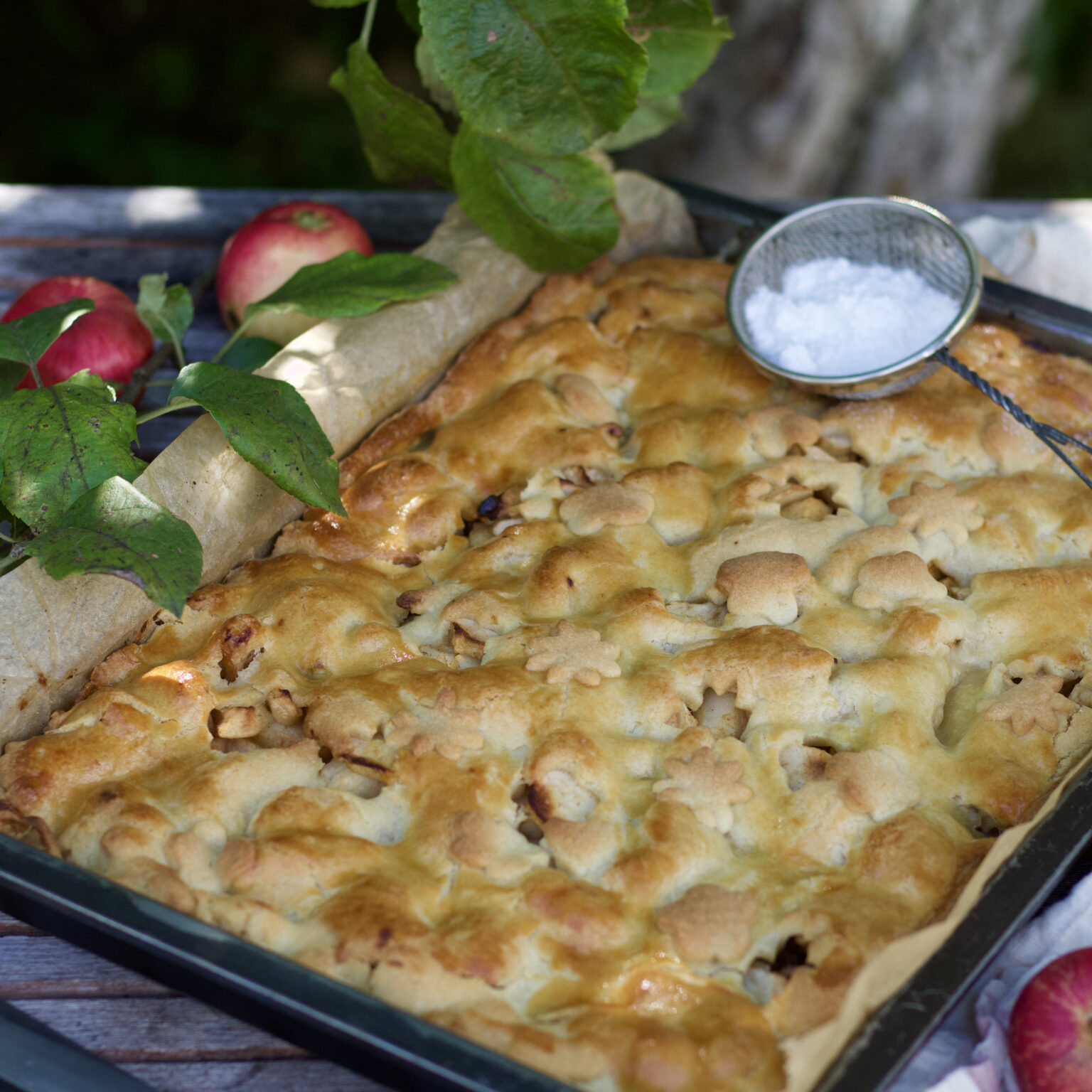 Tomatensauce Rezept - Veronikas Hofküche Tomatensauce Rezept - Veronikas Hofküche