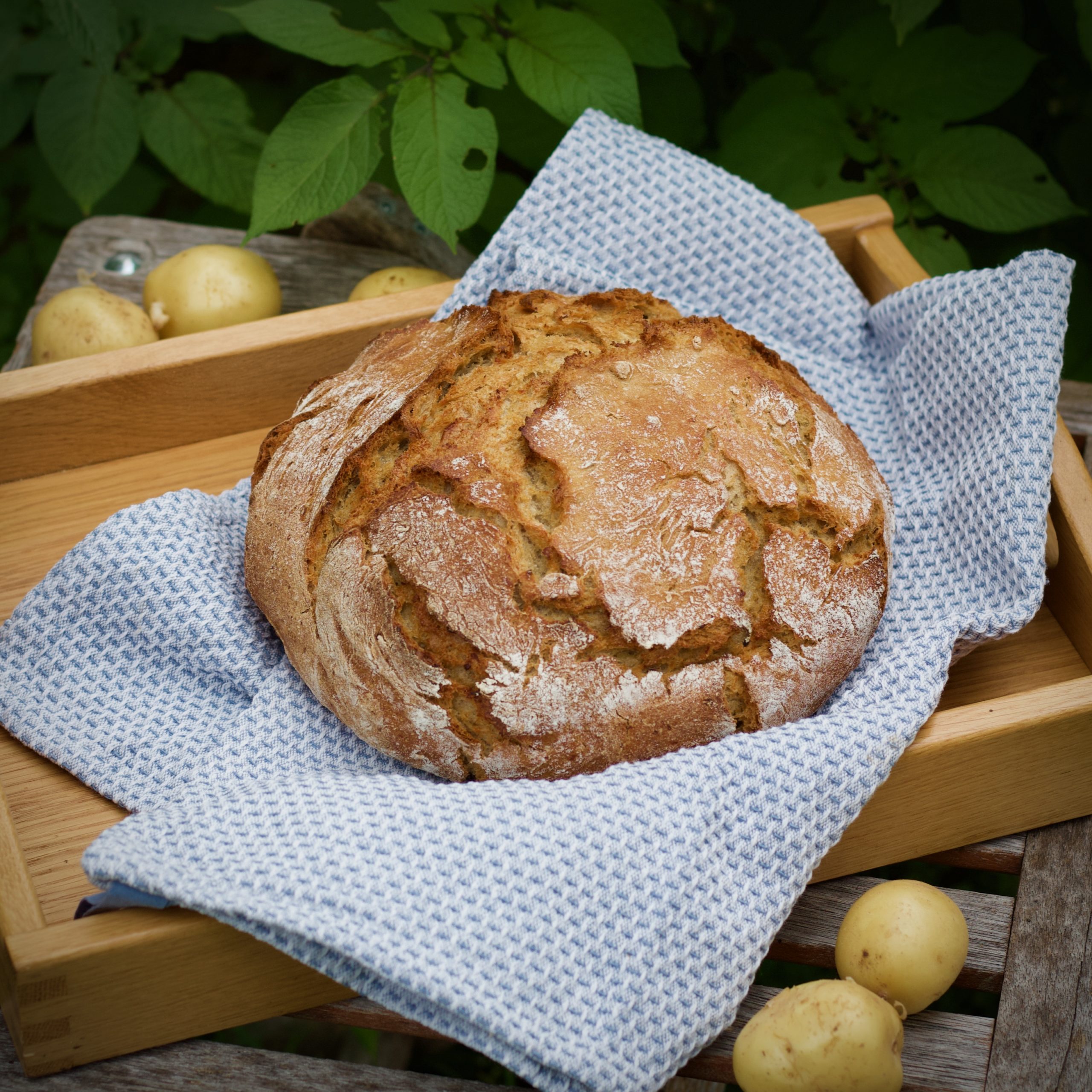 Erdäpfelbrot