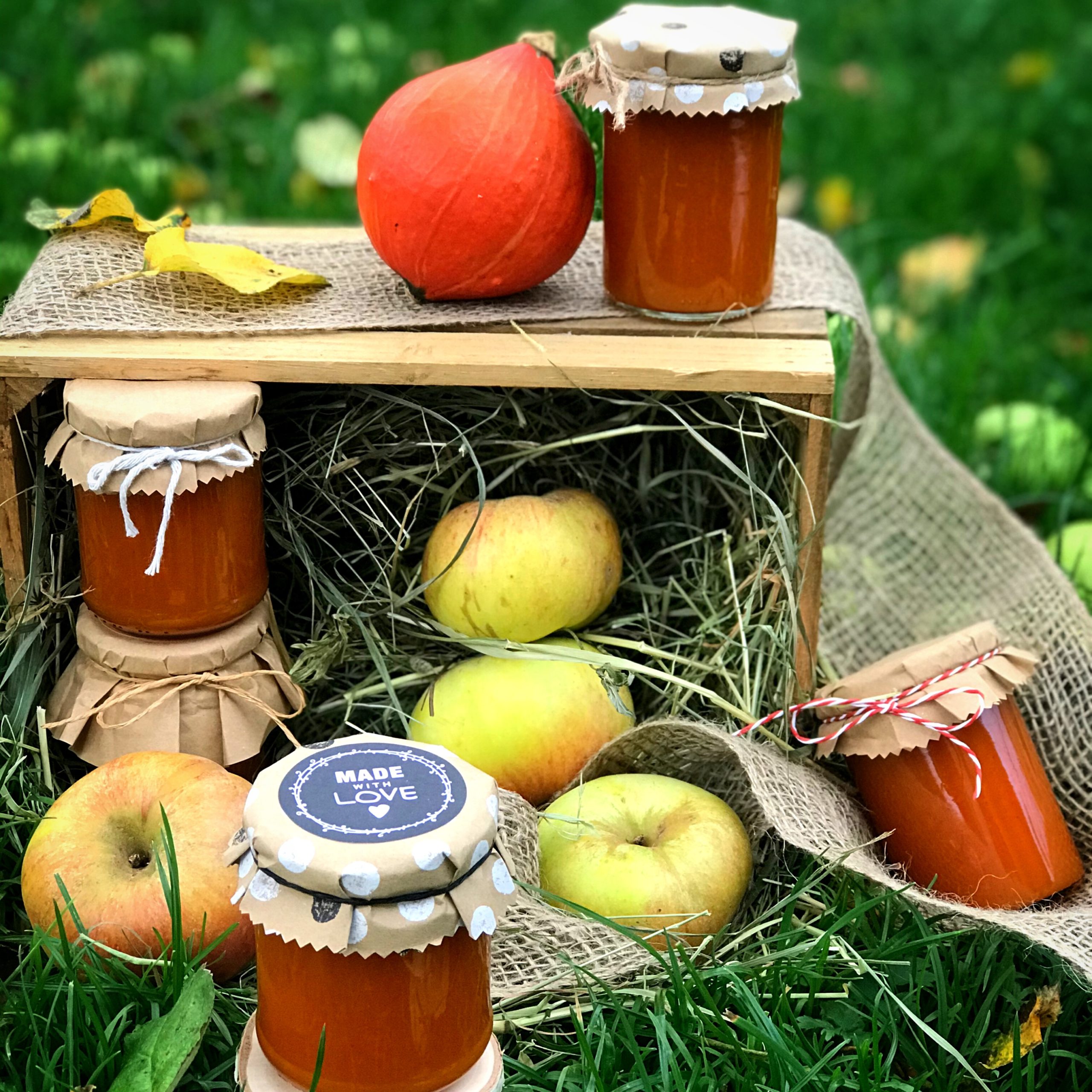 Kürbis-Apfel-Marmelade